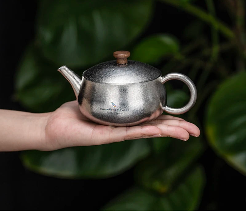 Titanium Theeketel – Chinese Xishi Stijl