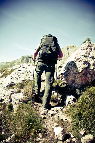 De Ultieme Wandelgids: Het Verkennen van de Paden van de Natuur